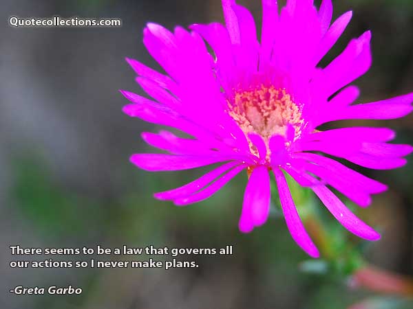 Greta Garbo Quotes3